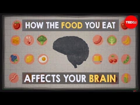 【TED-教育】食べ物が脳に及ぼす影響！？　How the food you eat affects your brain - Mia Nacamulli